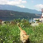 Haus Kraller-urlaub Mit Seeblick Apartment