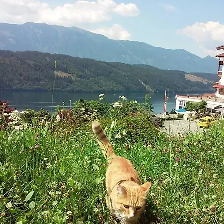 Haus Kraller-urlaub Mit Seeblick شقة