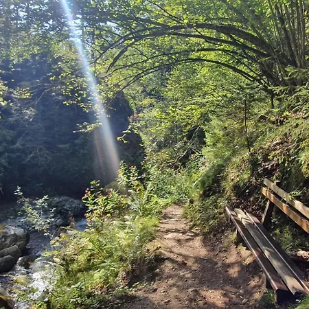 Haus Kraller-urlaub Mit Seeblick Lejlighed *