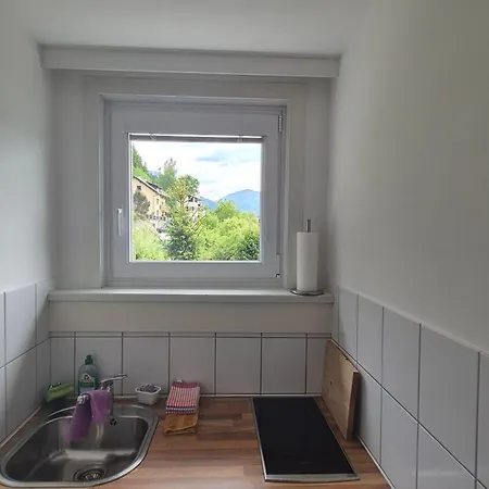 Apartment Haus Kraller-urlaub Mit Seeblick Millstatt