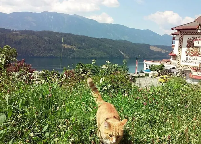Haus Kraller-urlaub Mit Seeblick 아파트
