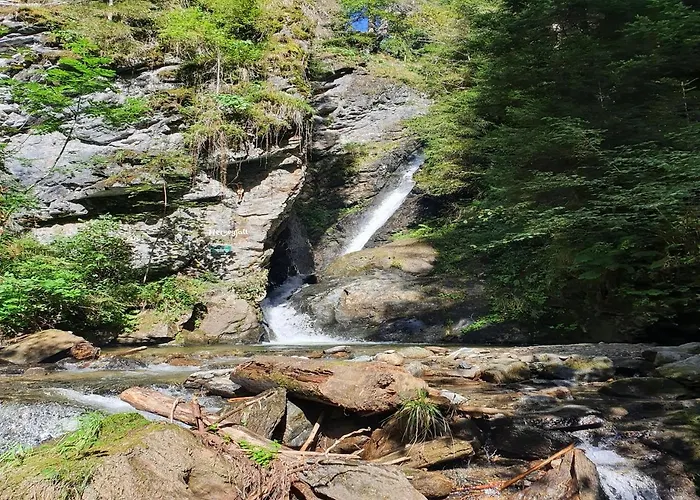 Haus Kraller-urlaub Mit Seeblick Apartmán Millstatt