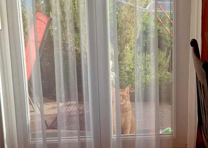 Haus Kraller-urlaub Mit Seeblick